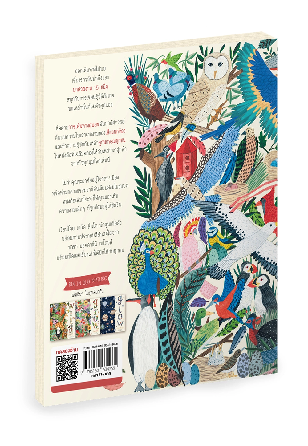 Fly เรื่องเล่าใต้ปีก